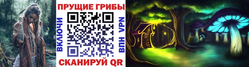 Псилоцибиновые грибы Psilocybine cubensis  Кодинск 